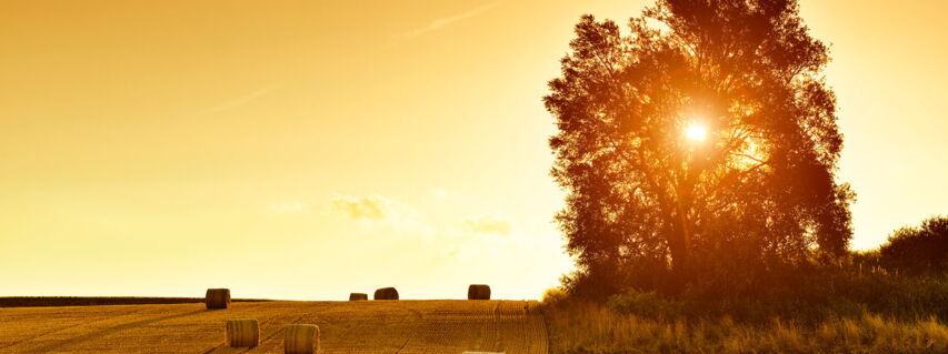 Heuballen auf einem Feld bei Sonnenuntergang